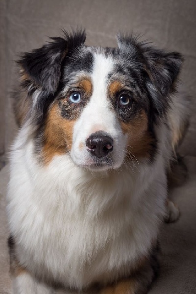 Hakuna matata du chemin des korrigans