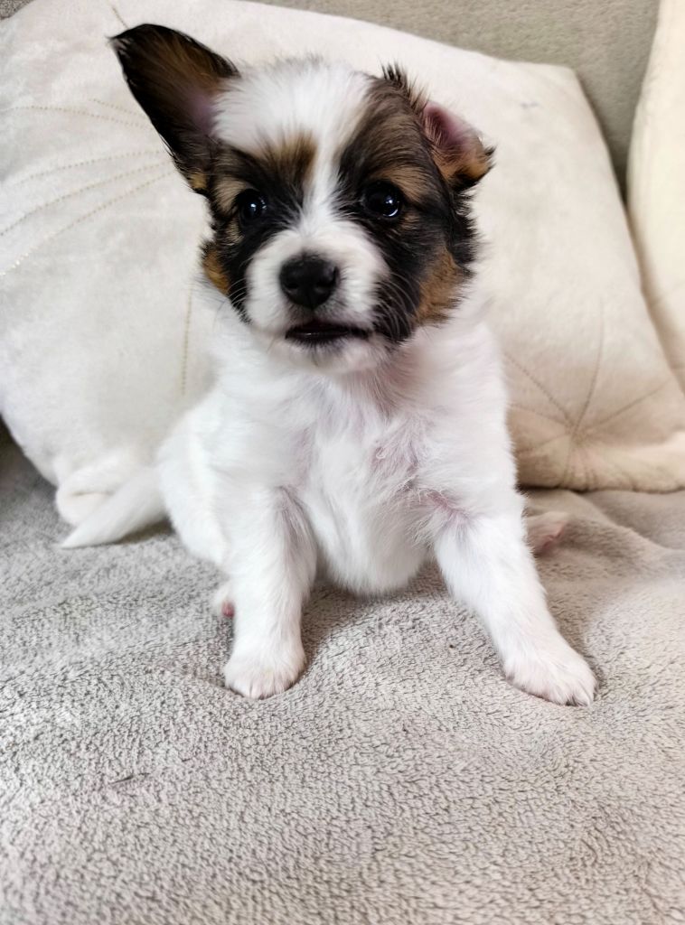 Amor de mi Corazon "Cora"